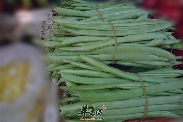龙牙豆就是四季豆吗 有什么作用