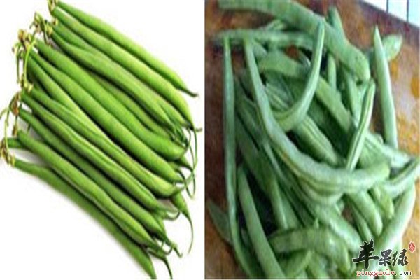 龙牙豆就是四季豆吗 有什么作用