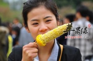 吃玉米会长胖吗