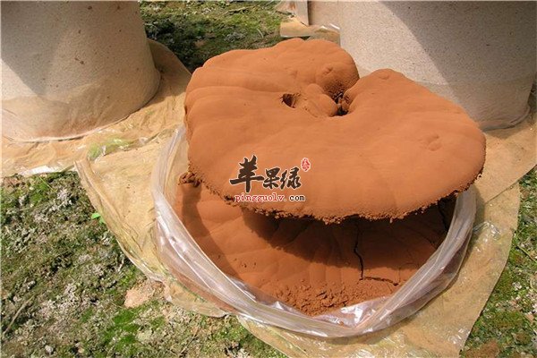 灵芝孢子粉3.jpg