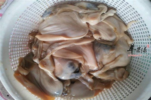 河蚌肉的营养成分和适宜人群
