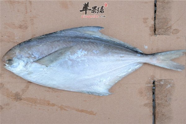 平鱼的营养价值和好处