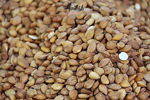 杏仁的食用宜忌人群有哪些