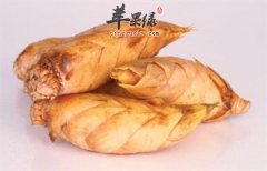 冬笋的选购方法 教你