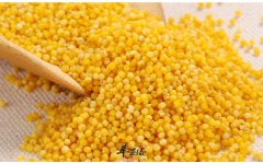 小米美味营养 食用要