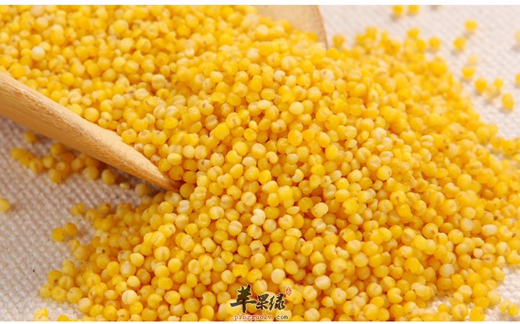 小米美味营养 食用要小心这些禁忌