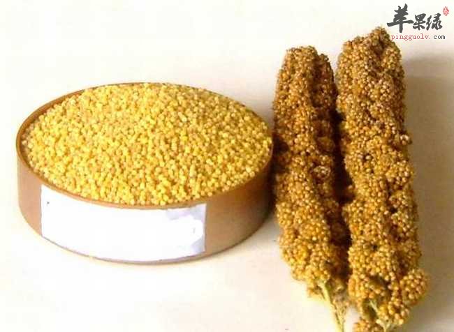 小米美味营养 食用要小心这些禁忌