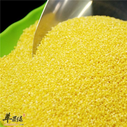 小米美味营养 食用要小心这些禁忌