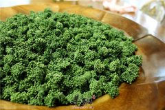 三七花的副作用一定要明了