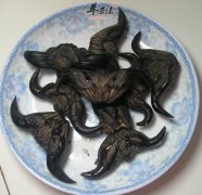 菱不能和什么一起吃