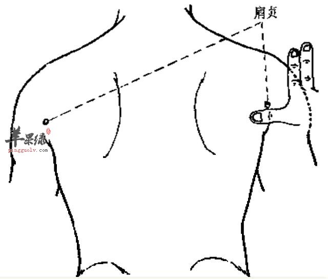 肩贞穴的位置 教你按摩肩贞穴方法