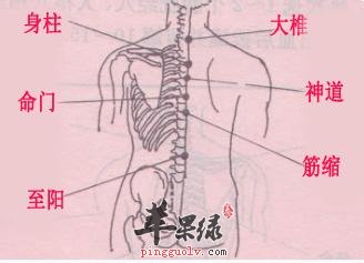 筋缩穴的位置 推荐按摩筋缩穴方法