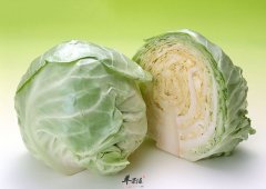 选购圆白菜的方法有