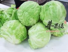 圆白菜的药用价值有