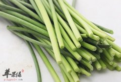 来看看蒜苗和蒜苔的