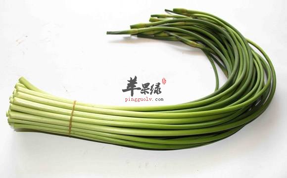来看看蒜苗和蒜苔的区别吧