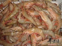 海虾的种类有哪些 给