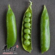 扁豆的挑选方法 教你