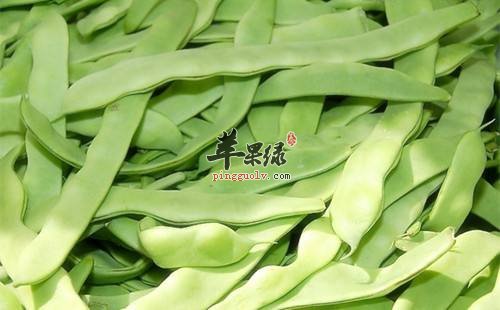 食用扁豆的宜忌人群都有哪些