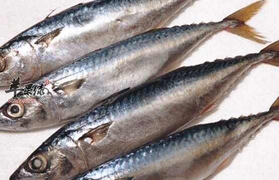 两种鲅鱼的特色吃法介绍