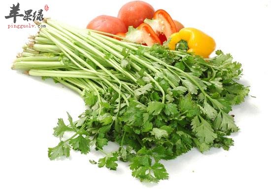 什么食物不能和芹菜一起食用