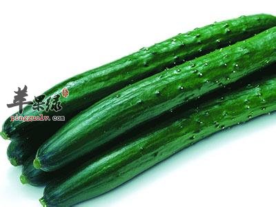 黄瓜生吃好还是熟吃好 推荐黄瓜吃法