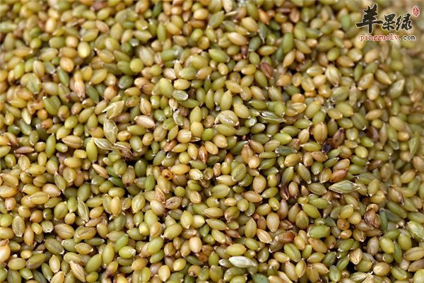 青稞的功效与作用你知道吗
