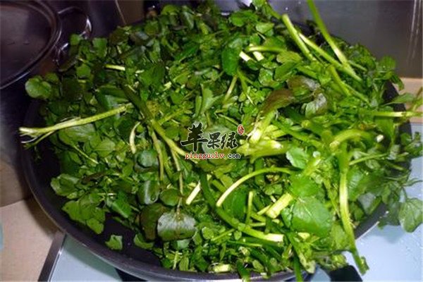 西洋菜2.jpg
