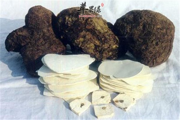 吃茯苓2.jpg