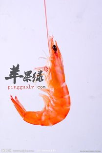 虾的常见的几种做法介绍