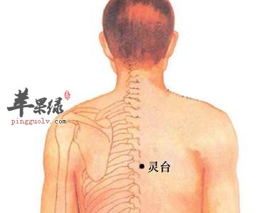 有关灵台穴的功用及疗法介绍