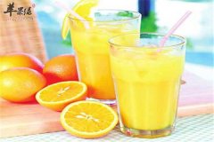 枇杷水果汁——助消化清热解毒止咳