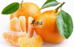 与黄瓜相克的食物 这些食物别一起吃
