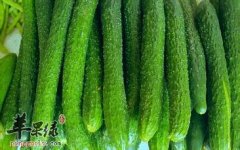 常见蔬菜黄瓜也有禁忌 这样吃不健康
