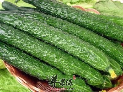 常见蔬菜黄瓜也有禁忌 这样吃不健康