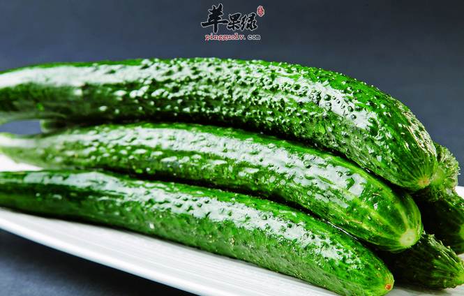 常见蔬菜黄瓜也有禁忌 这样吃不健康