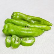 青椒这种蔬菜的四大