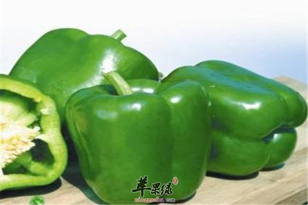 青椒1.jpg