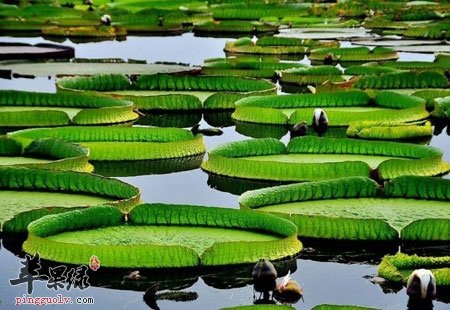 夏季做好这些让疾病远离你