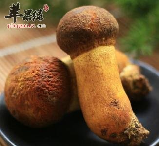 牛肝菌不能和什么一起食用