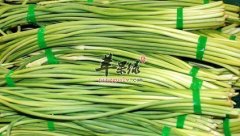 蒜苔的药用价值和营