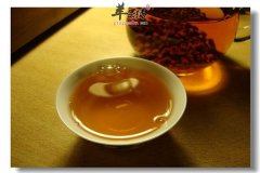 决明子泡绿茶——杀菌消炎保护口腔