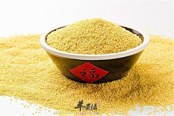 小米8.jpg