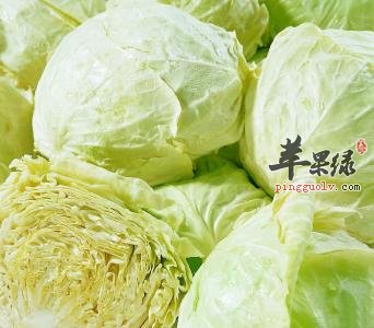 圆白菜的药用价值