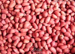美味的花生菜肴家常