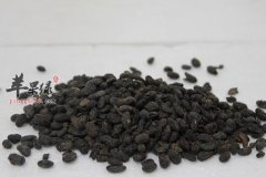 淡豆豉和普通的豆豉