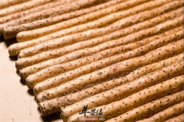 男性肾虚吃什么 补益脾肾食材