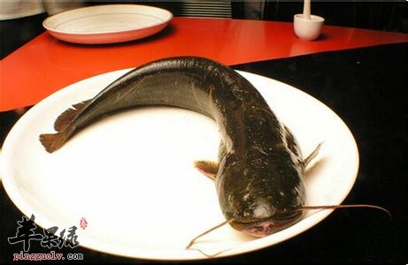 野生江鲢鱼图片图片