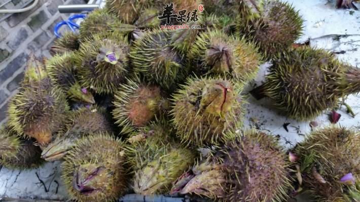 苹果绿 食材大全 营养价值我们很多人都是对 芡实能不能给孕妇食用有