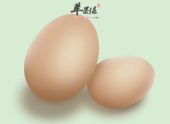 食用鸡蛋的一些误区